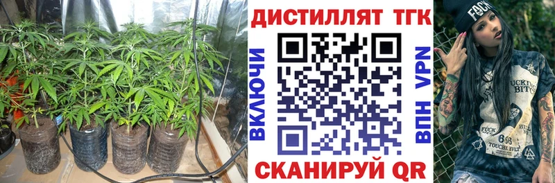 ТГК вейп с тгк Апшеронск