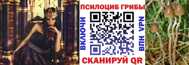 дарнет шоп  Апшеронск  Псилоцибиновые грибы мухоморы 